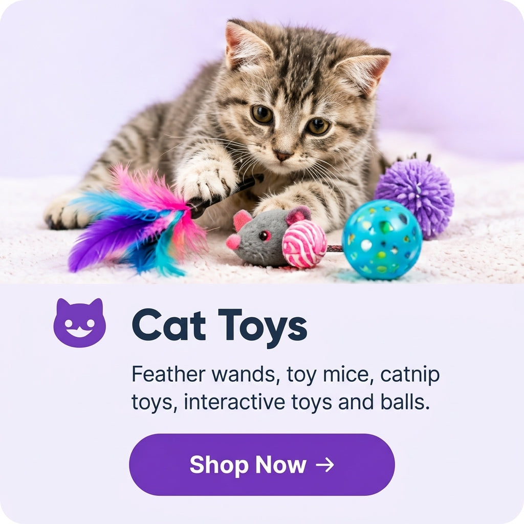 Cat Toys