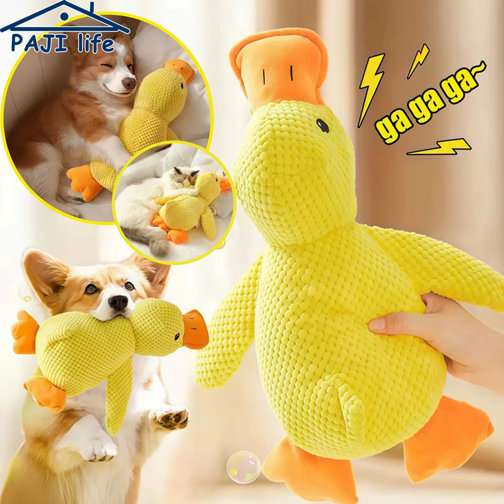 Squeaky Plush Dog Toys- Duck