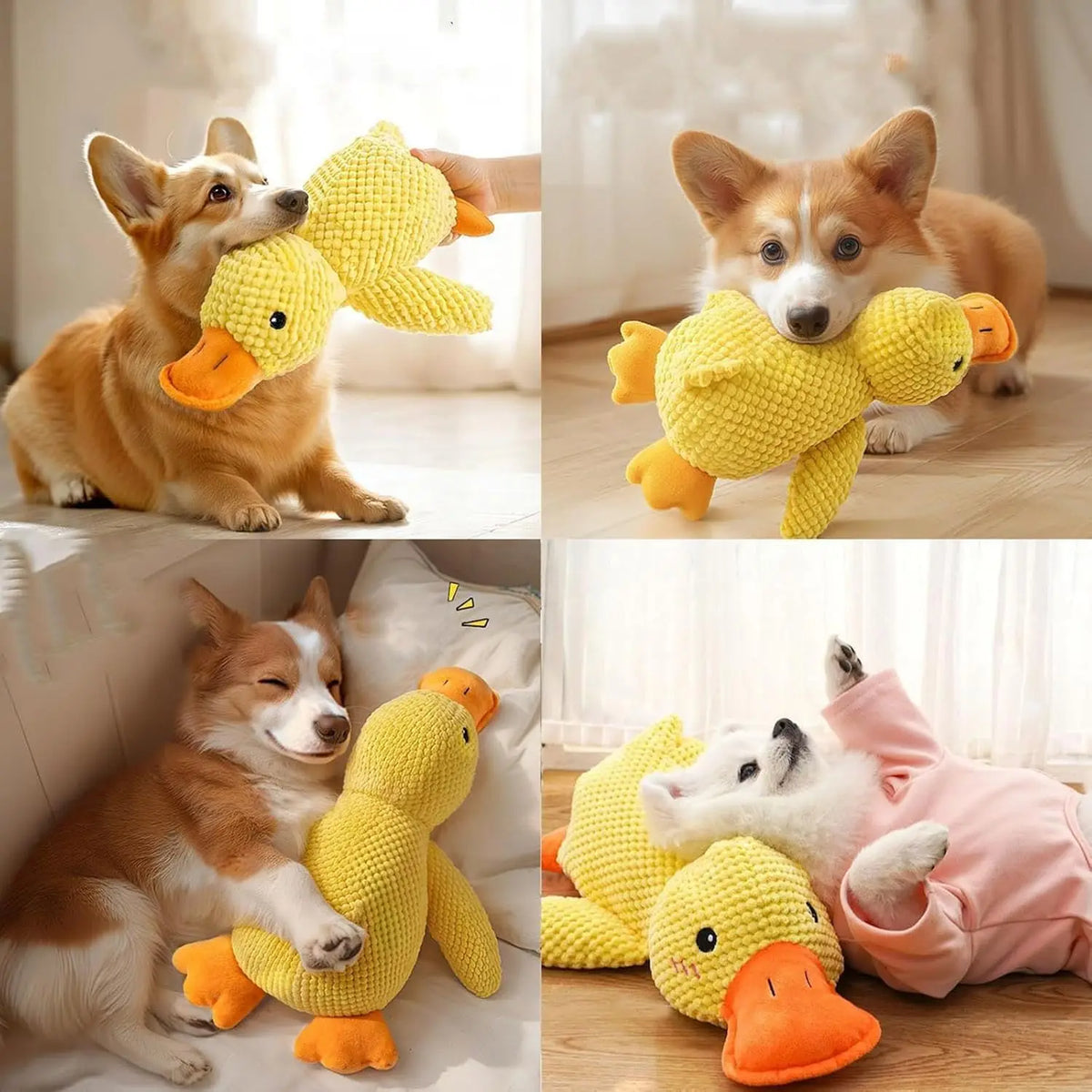 Squeaky Plush Dog Toys- Duck