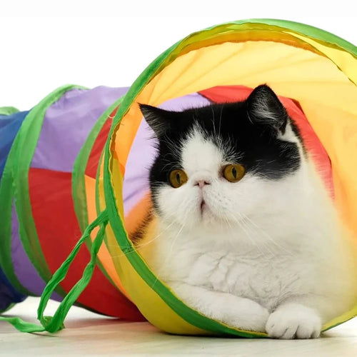 Cat Tunnel Tube Foldable Toys