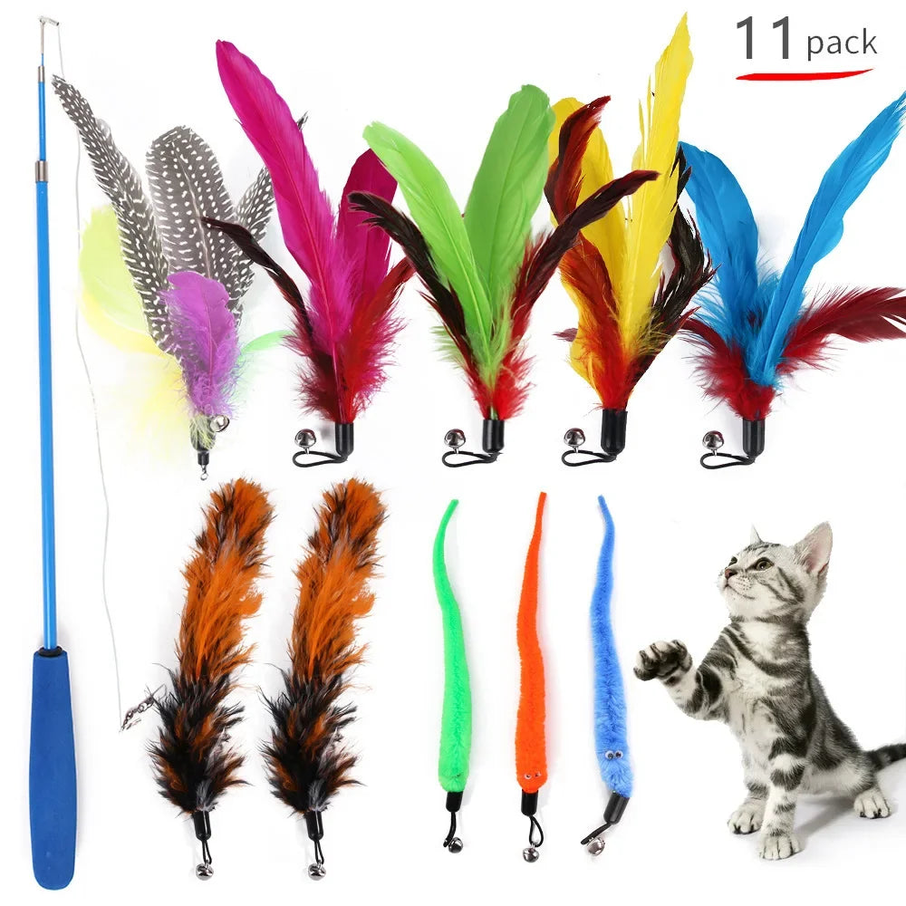 Multi Shape Play Pack, Cat Toys