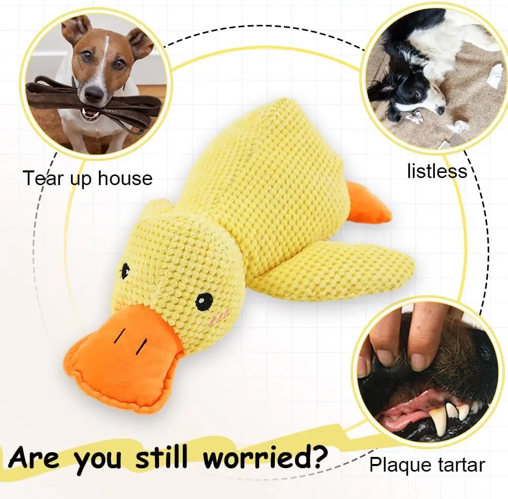 Squeaky Plush Dog Toys- Duck