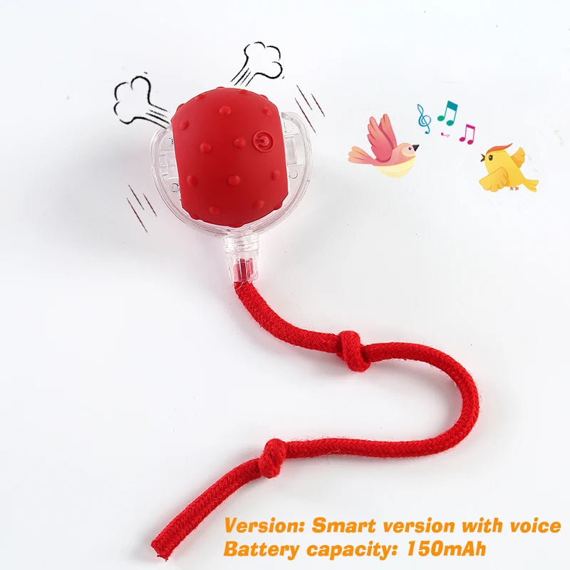 Motion Sensor Intelligent Ball, Cat toy Rechargeable