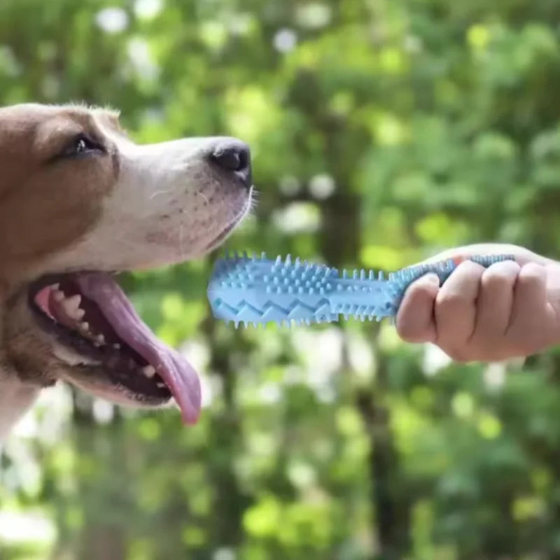 Dog Teething Chew Stick Toy, Pet Teether Cleaner Stick