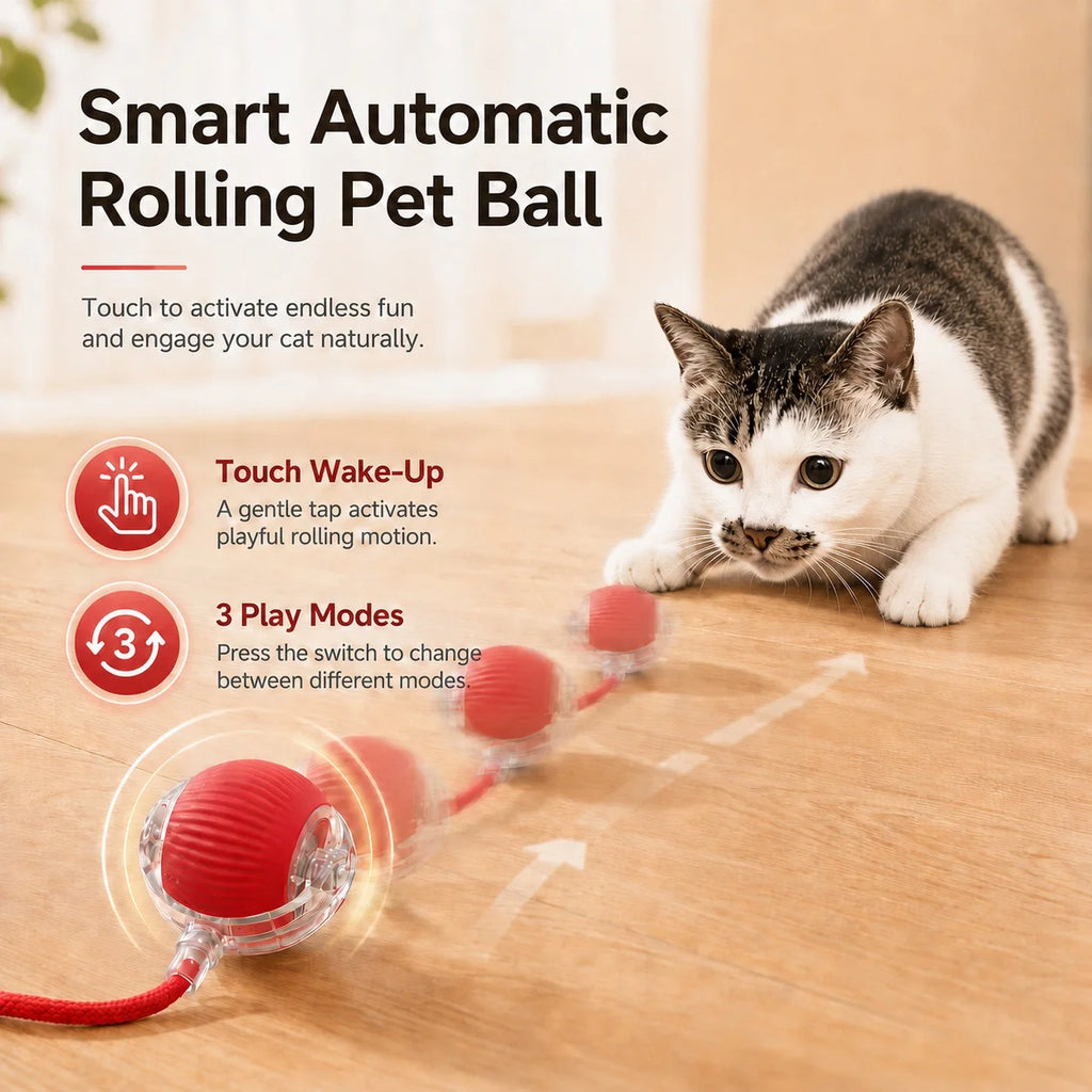 Motion Sensor Intelligent Ball, Cat toy Rechargeable